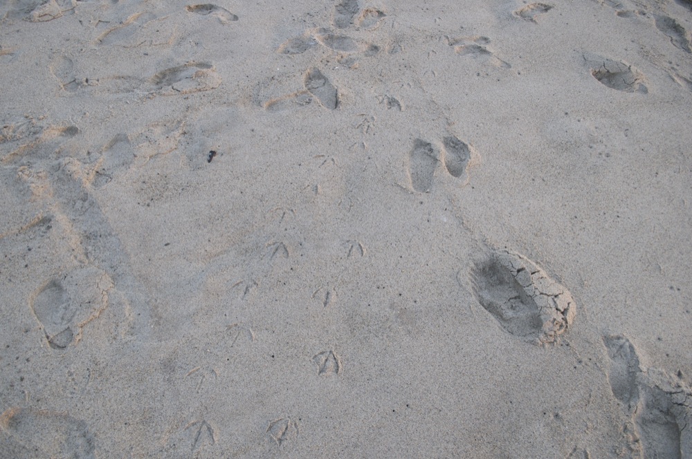 footprints_beach